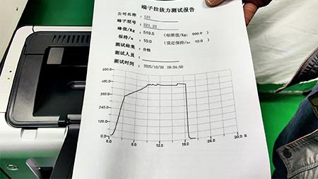 90mm² Cable Non-destructive Test & Report Print